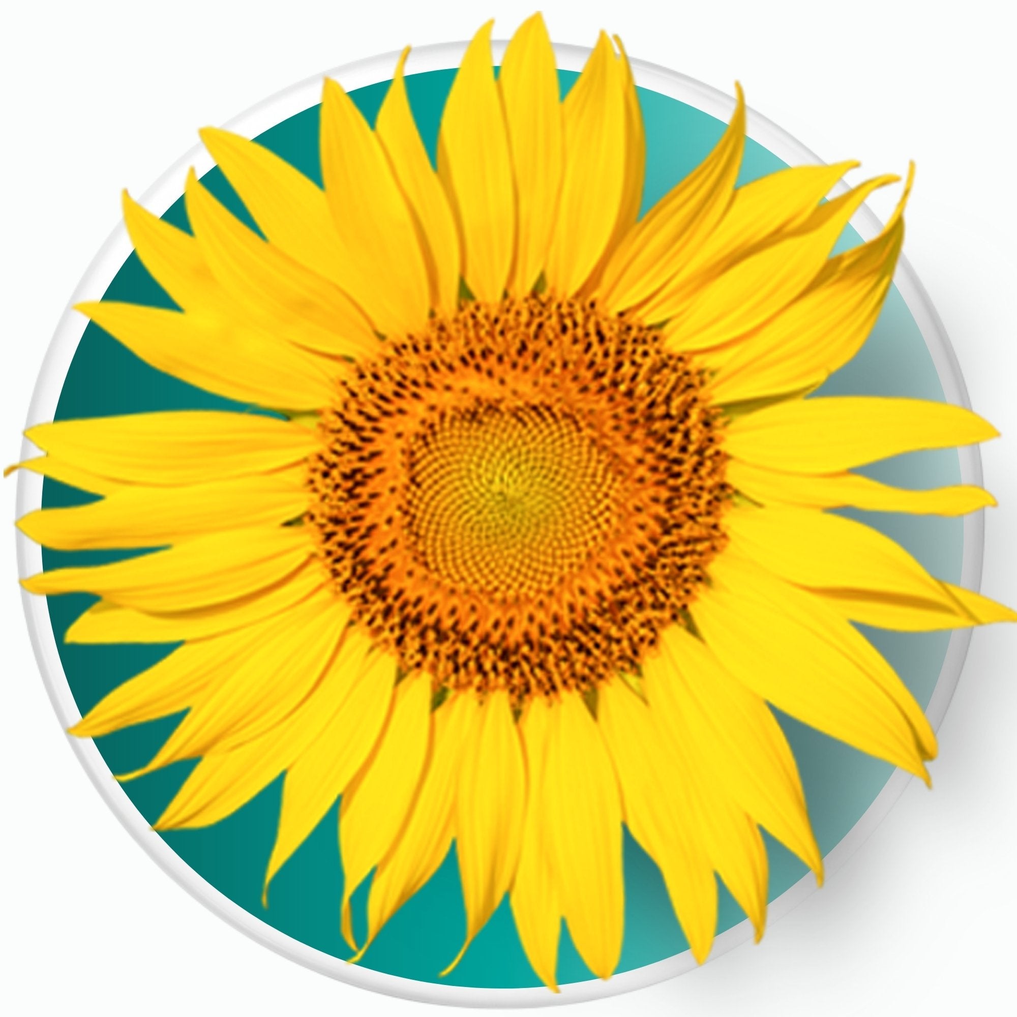 Fosfatidilserina 400mg