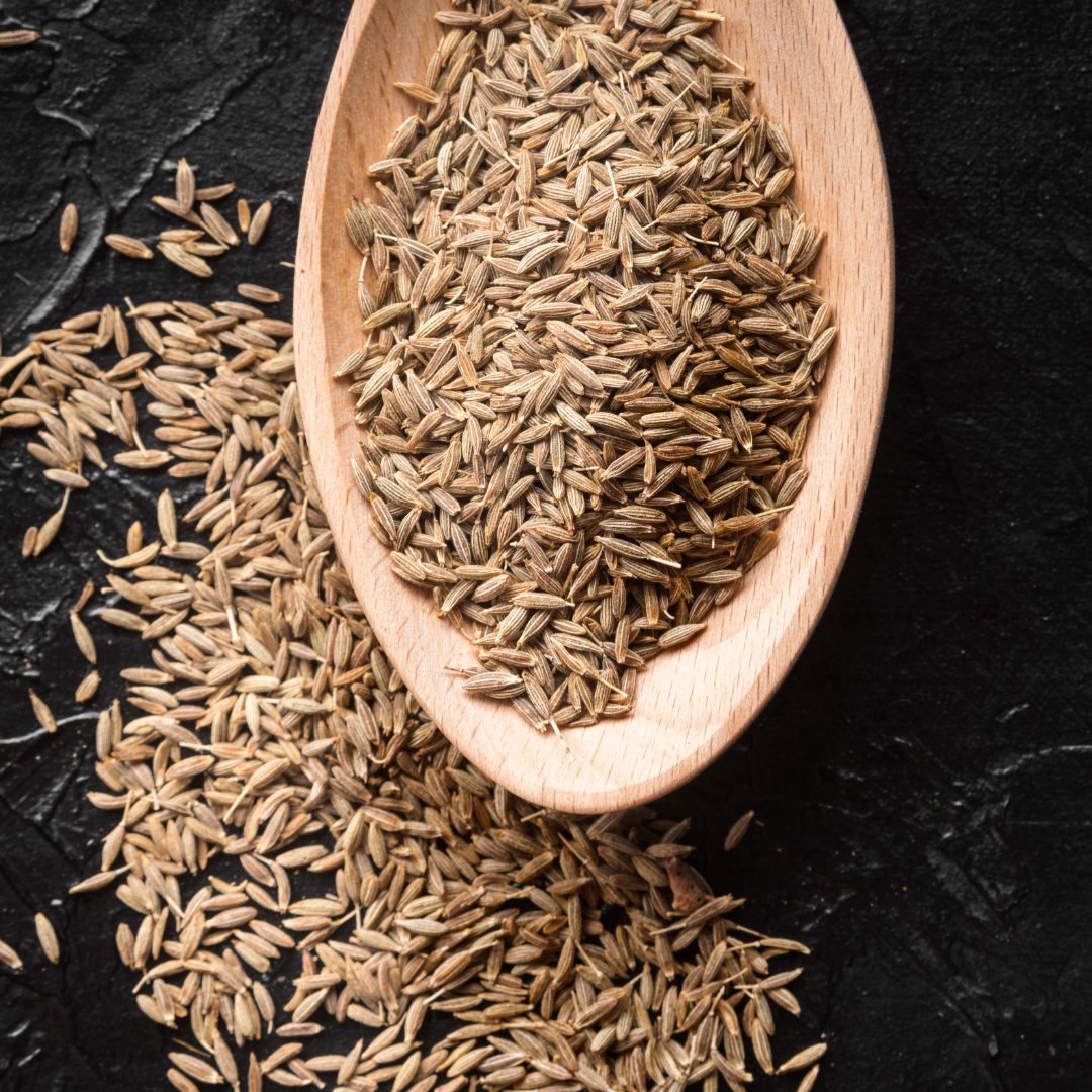 Semi di Carvi utilizzati negli integratori naturali per le loro proprietà digestive e di supporto alla regolarità intestinale